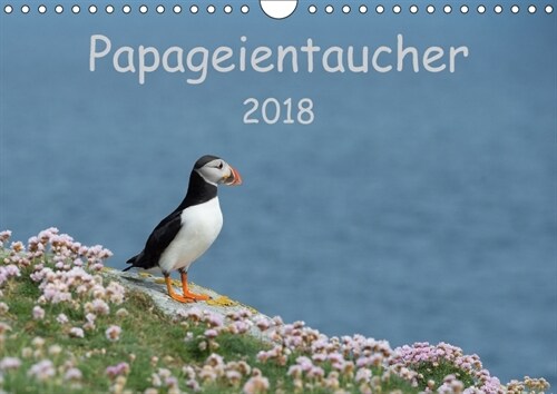 Papageientaucher 2018CH-Version (Wandkalender 2018 DIN A4 quer) (Calendar)