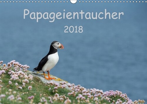 Papageientaucher 2018CH-Version (Wandkalender 2018 DIN A3 quer) (Calendar)