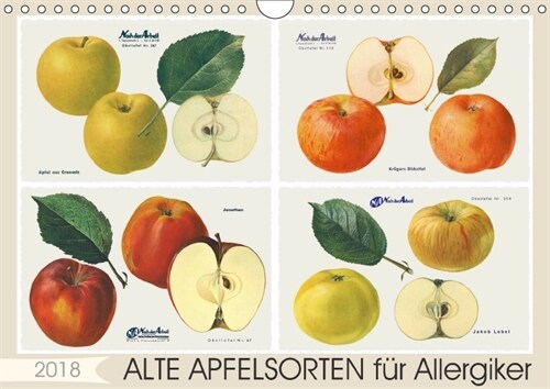 Alte Apfelsorten fur Allergiker (Wandkalender 2018 DIN A4 quer) (Calendar)