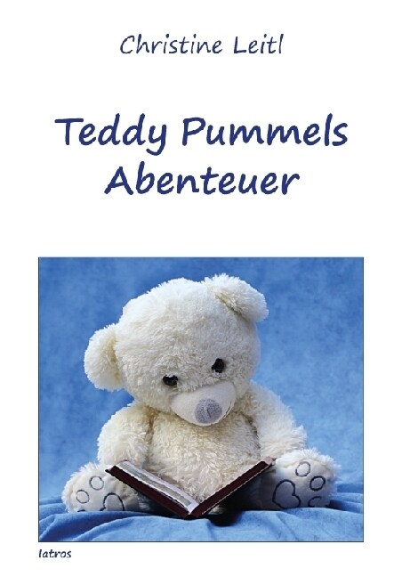 Teddy Pummels Abenteuer (Paperback)