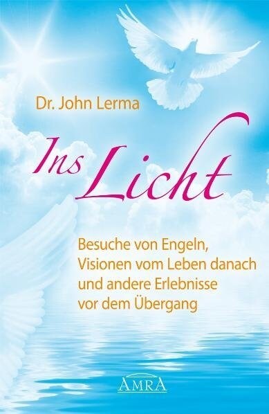 Ins Licht (Hardcover)