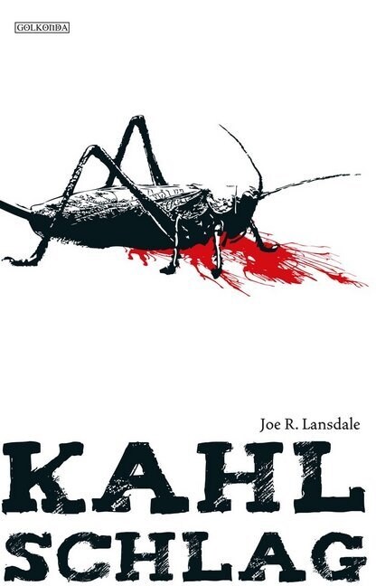 Kahlschlag (Paperback)