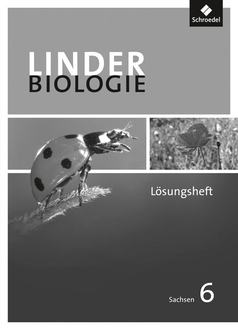 6. Schuljahr, Losungen zum Arbeitsheft (Pamphlet)