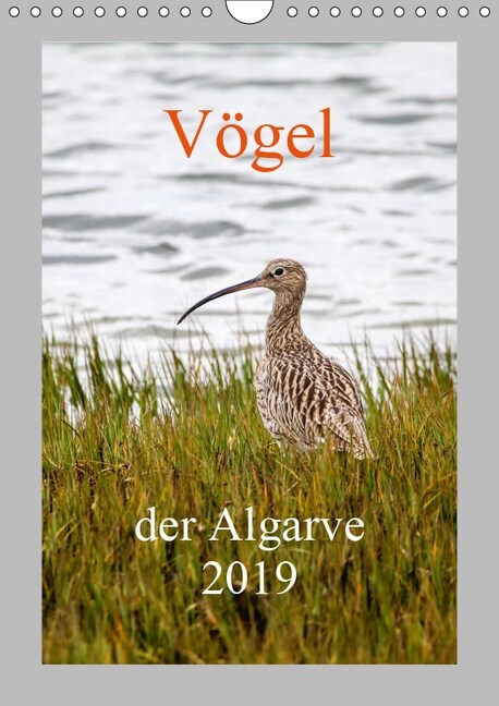 Vogel der Algarve 2019 (Wandkalender 2019 DIN A4 hoch) (Calendar)