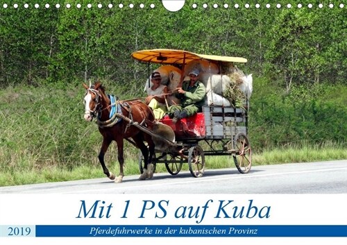 Mit 1 PS auf Kuba - Pferdefuhrwerke in der kubanischen Provinz (Wandkalender 2019 DIN A4 quer) (Calendar)