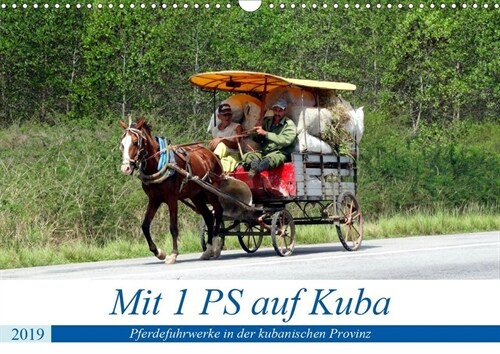 Mit 1 PS auf Kuba - Pferdefuhrwerke in der kubanischen Provinz (Wandkalender 2019 DIN A3 quer) (Calendar)