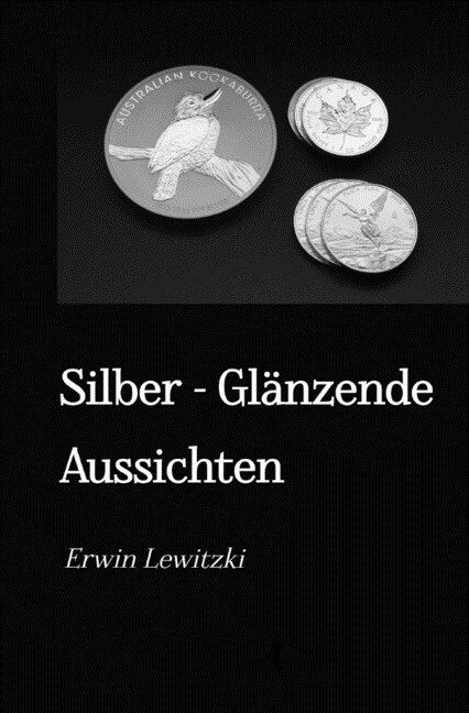 Silber - Glanzende Aussichten (Paperback)