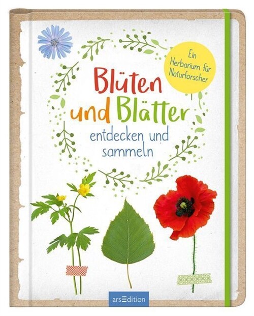 Bluten und Blatter entdecken und sammeln (Hardcover)