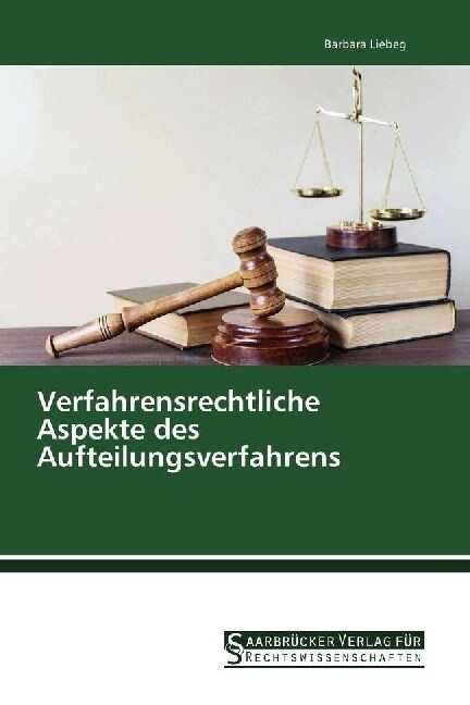 Verfahrensrechtliche Aspekte des Aufteilungsverfahrens (Paperback)