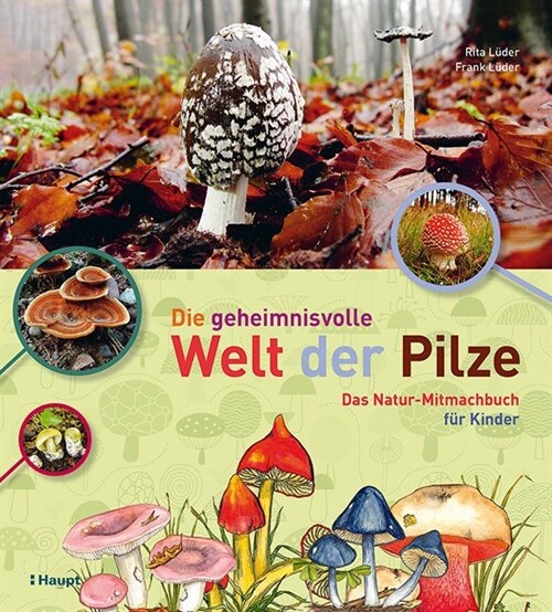 Die geheimnisvolle Welt der Pilze (Paperback)