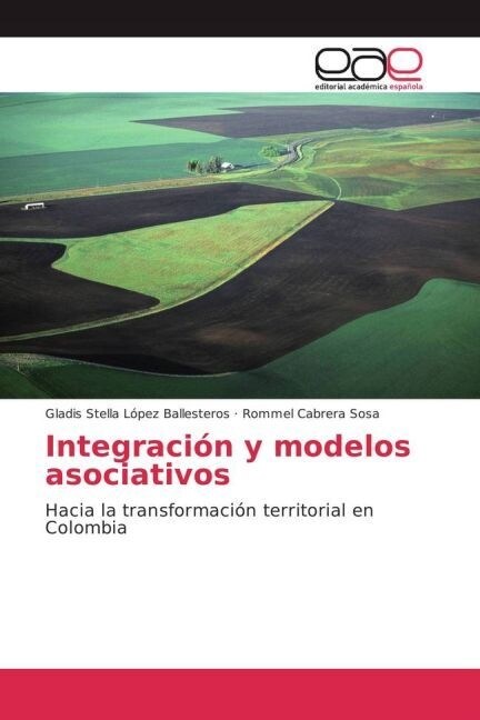 Integracion y modelos asociativos (Paperback)