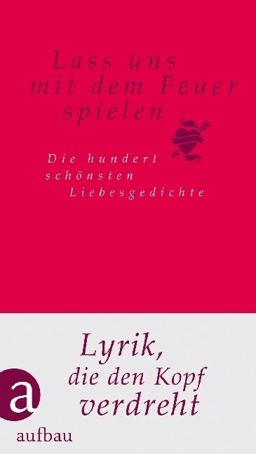 Lass uns mit dem Feuer spielen (Hardcover)