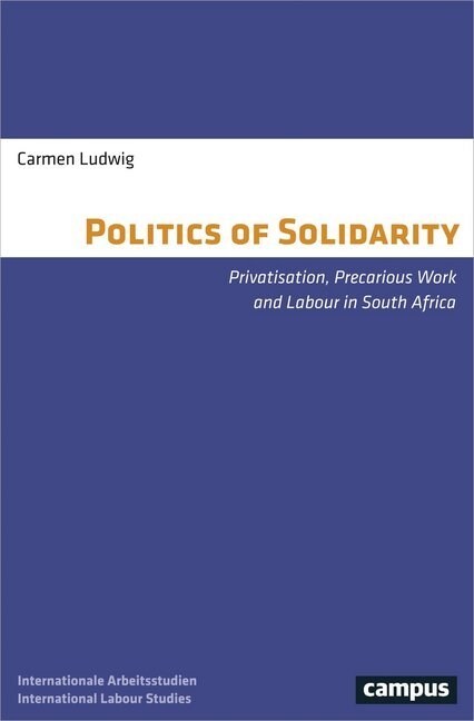 The Politics of Solidarity: Privatisation, Precarious Work and Labour in South Africa (Paperback)