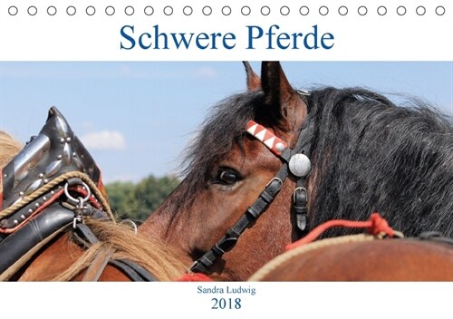 Schwere Pferde 2018 (Tischkalender 2018 DIN A5 quer) Dieser erfolgreiche Kalender wurde dieses Jahr mit gleichen Bildern und aktualisiertem Kalendariu (Calendar)