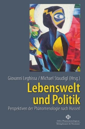 Lebenswelt und Politik (Paperback)