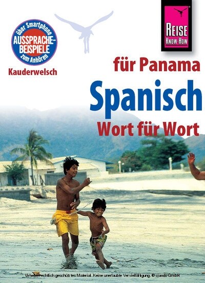 Spanisch fur Panama - Wort fur Wort (Paperback)