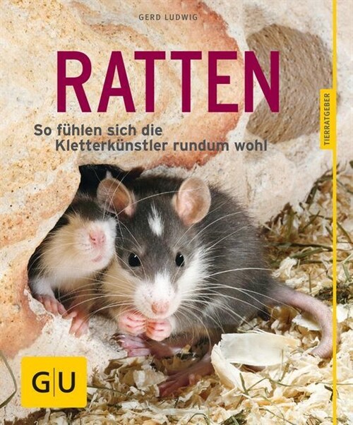 Ratten (Paperback)