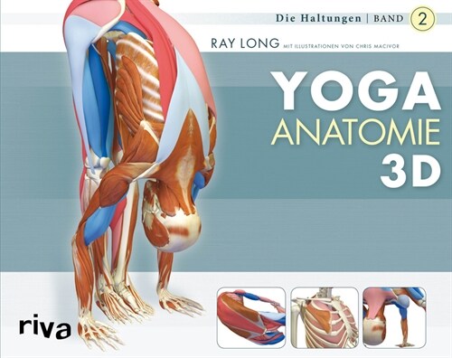 Yoga-Anatomie 3D. Bd.2 (Paperback)