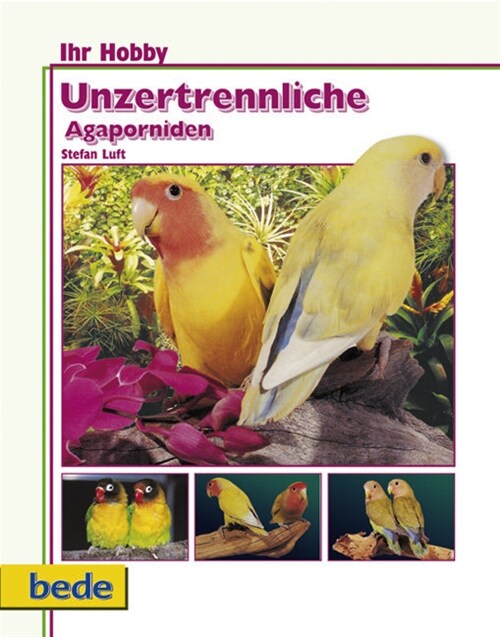 Unzertrennliche Agaporniden (Hardcover)