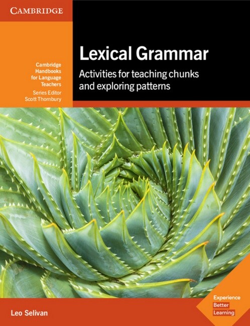 Lexical Grammar (Paperback)