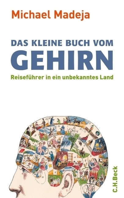 Das kleine Buch vom Gehirn (Hardcover)