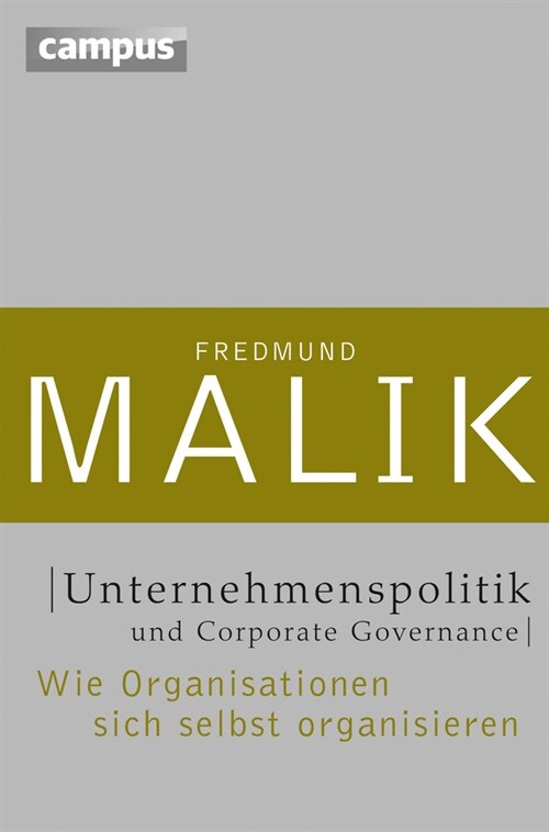 Unternehmenspolitik und Corporate Governance (Hardcover)