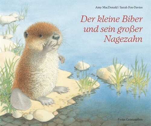 Der kleine Biber und sein großer Nagezahn (Hardcover)