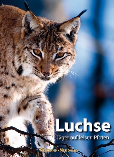 Luchse (Hardcover)