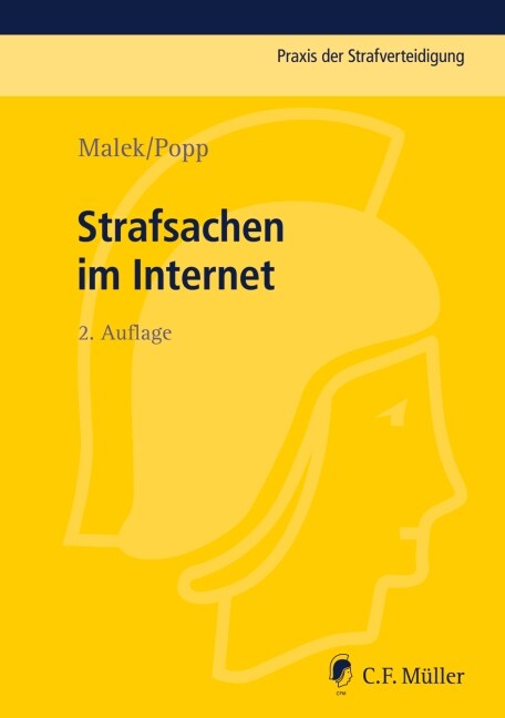 Strafsachen im Internet (Paperback)