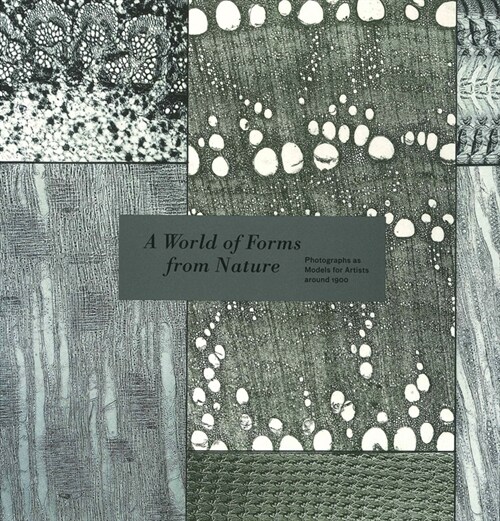 A World of Forms from Nature (Paperback)