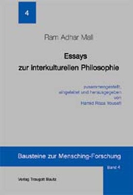 Essays zur interkulturellen Philosophie (Hardcover)