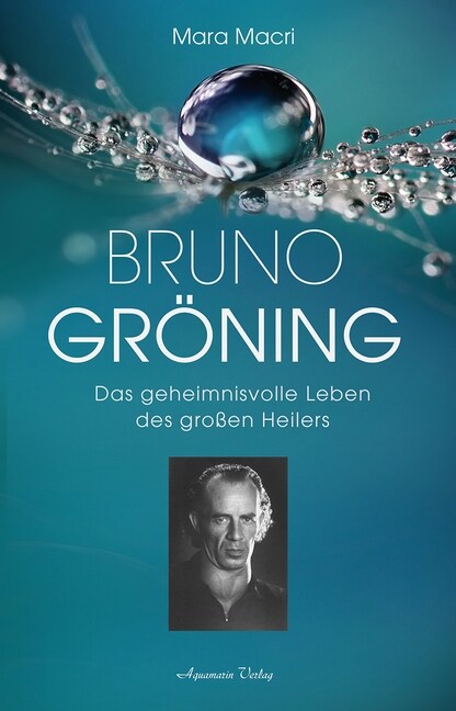 Bruno Groning (Hardcover)