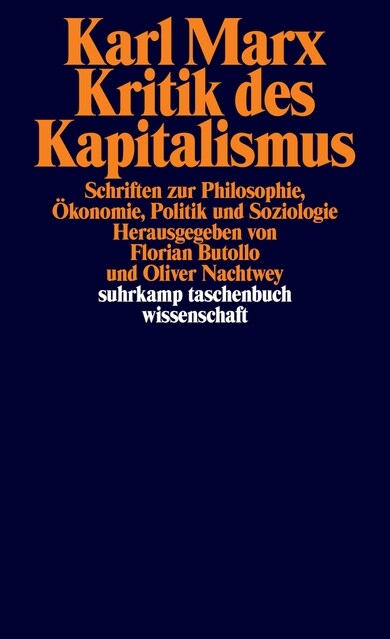 Kritik des Kapitalismus (Paperback)