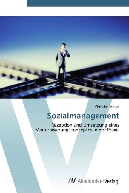 Sozialmanagement (Paperback)