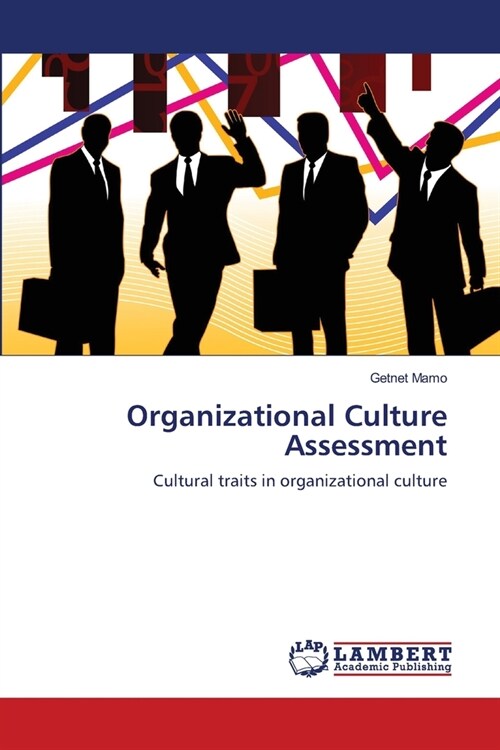 Organizational Culture Assessment (Paperback)