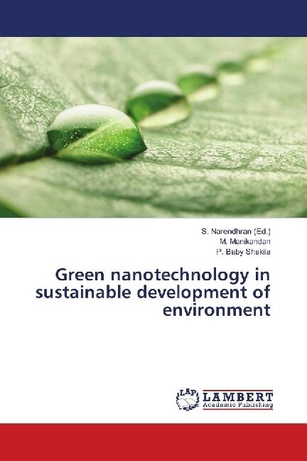 Green nanotechnology in sustainable development of environment (Paperback)