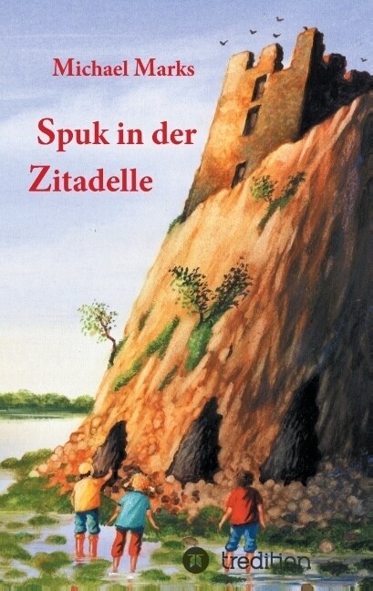 Spuk in der Zitadelle (Paperback)