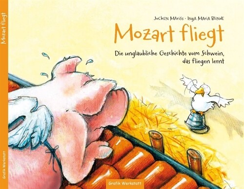 Mozart fliegt (Hardcover)