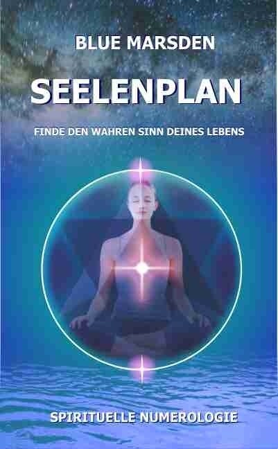 Seelenplan (Paperback)