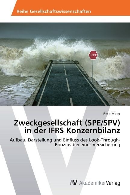 Zweckgesellschaft (SPE/SPV) in der IFRS Konzernbilanz (Paperback)