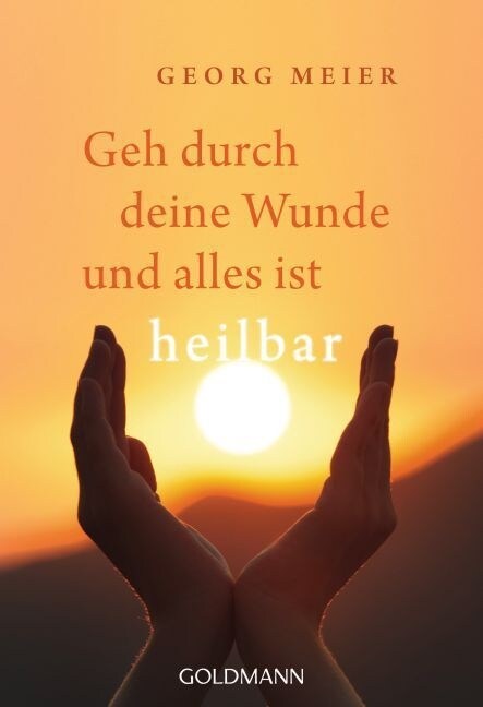 Geh durch deine Wunde und alles ist heilbar (Paperback)