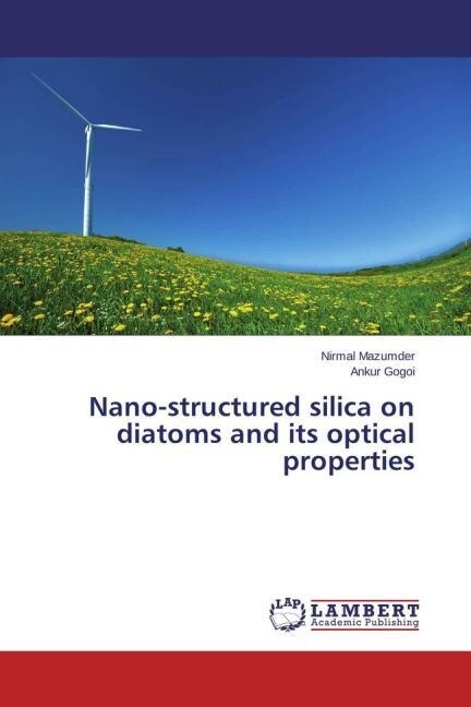 Nano-structured silica on diatoms and its optical properties (Paperback)