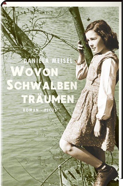 Wovon Schwalben traumen (Hardcover)