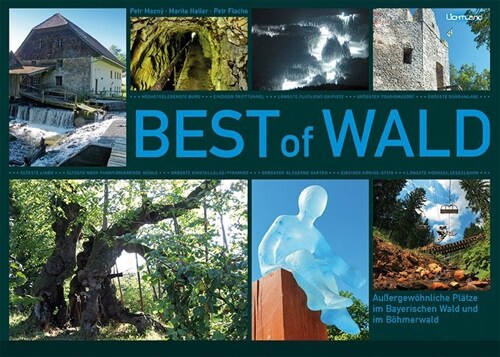 BEST of WALD (Hardcover)