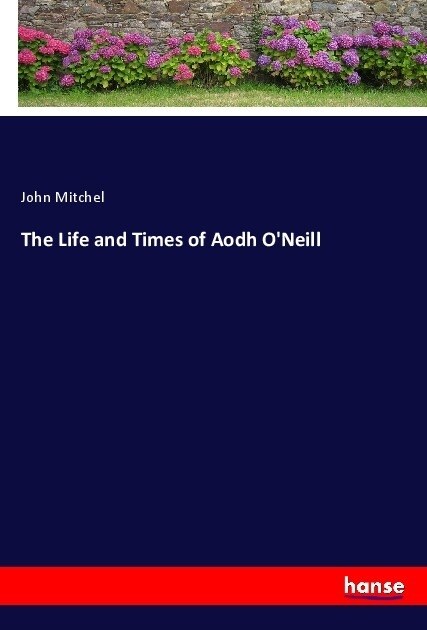 The Life and Times of Aodh ONeill (Paperback)