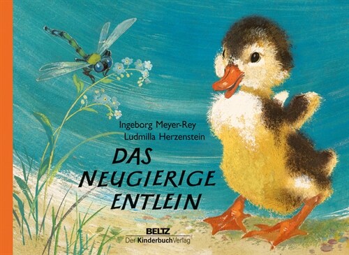 Das neugierige Entlein (Hardcover)