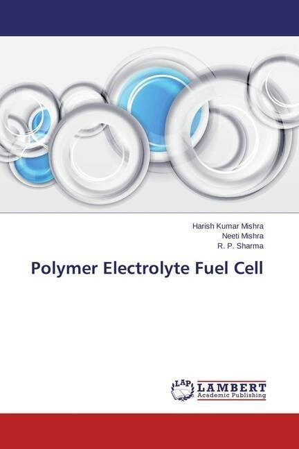 Polymer Electrolyte Fuel Cell (Paperback)