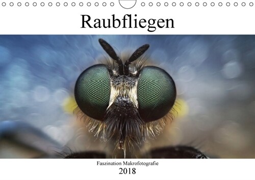 Faszination Makrofotografie: Raubfliegen (Wandkalender 2018 DIN A4 quer) (Calendar)