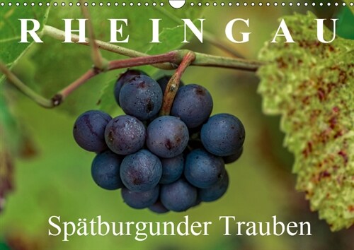 Rheingau - Spatburgunder Trauben (Wandkalender 2019 DIN A3 quer) (Calendar)
