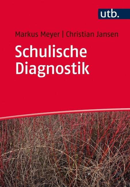 Schulische Diagnostik (Paperback)